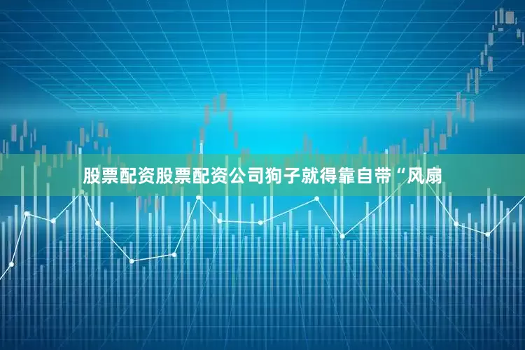 股票配资股票配资公司狗子就得靠自带“风扇