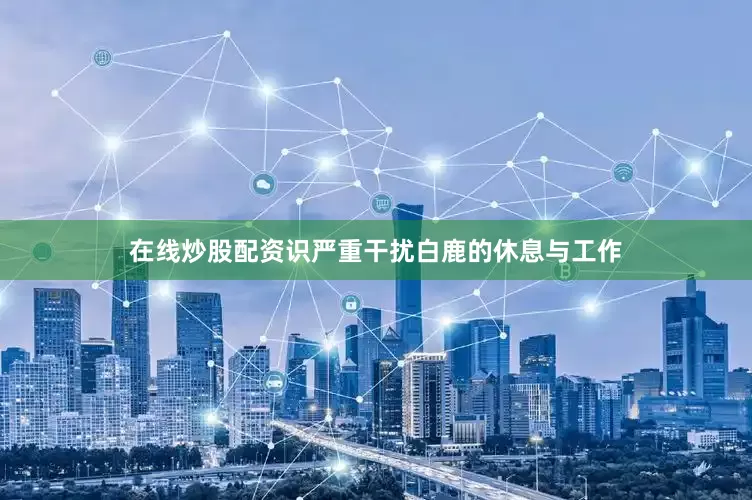 在线炒股配资识严重干扰白鹿的休息与工作